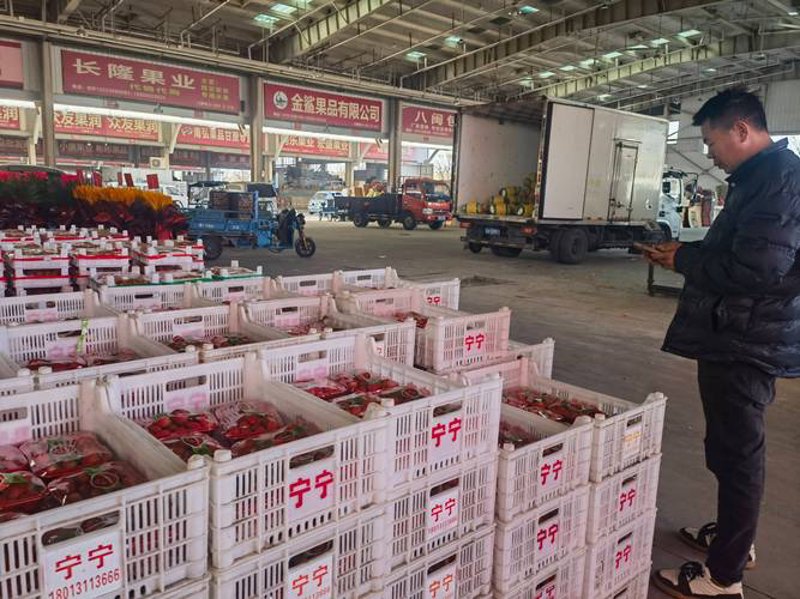 苏州批发零售市场：活力与机遇并存